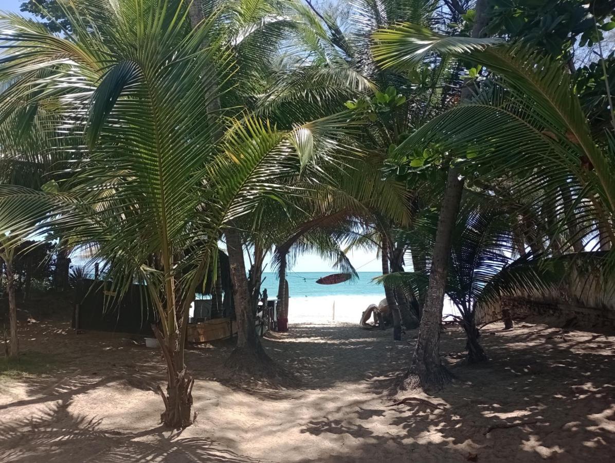 Porto De Galinhas Lindo Ap 2 Q 2 Banh 40 M Da Praia Lägenhet Exteriör bild